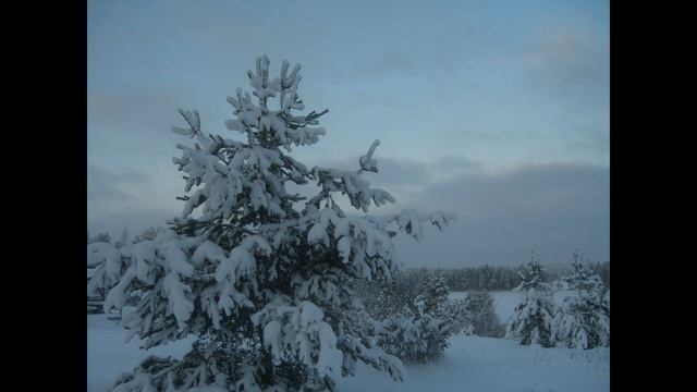 утро туманное 5