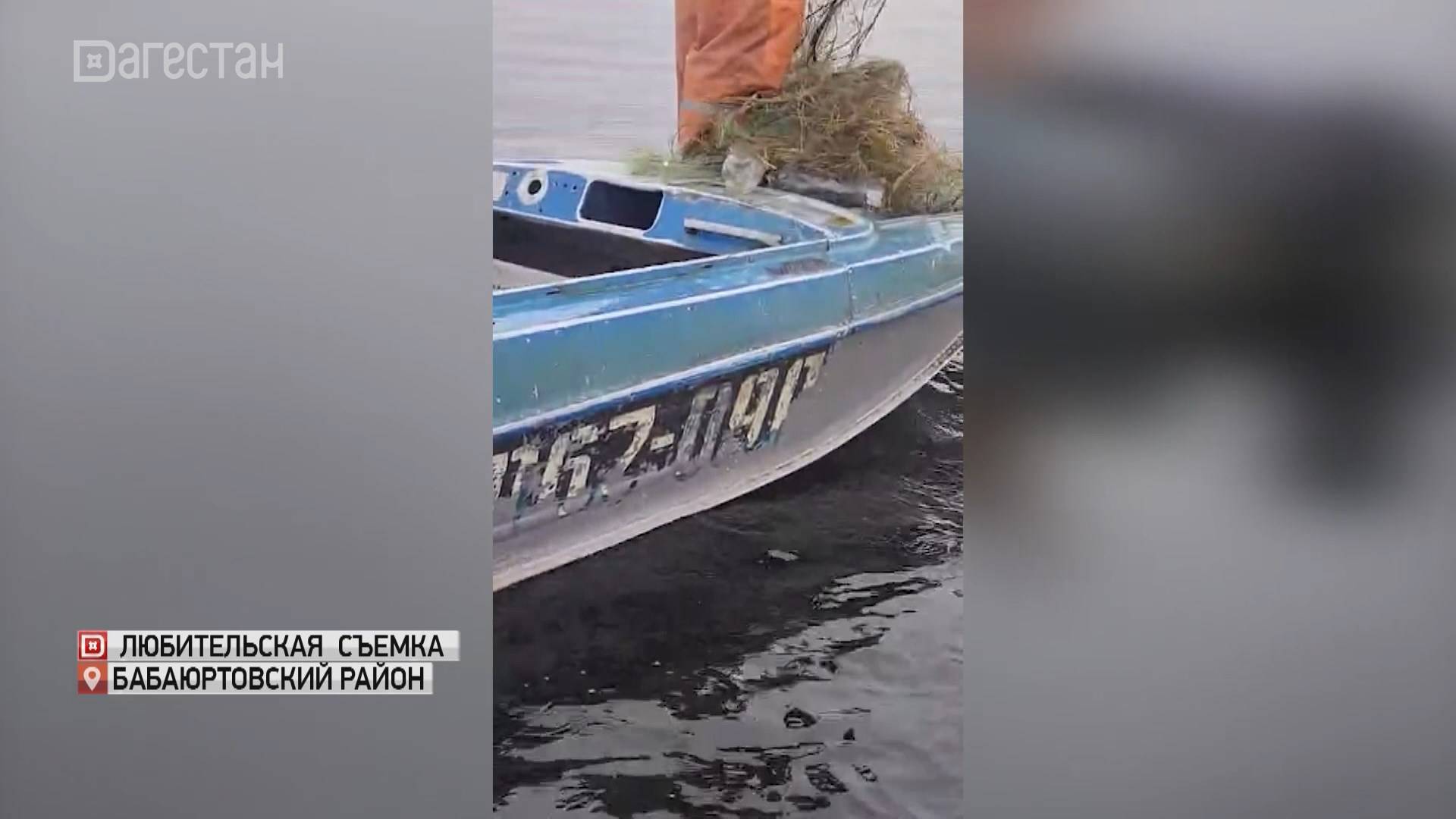 В Дагестане очистили от сетей южную часть Аграханского залива
