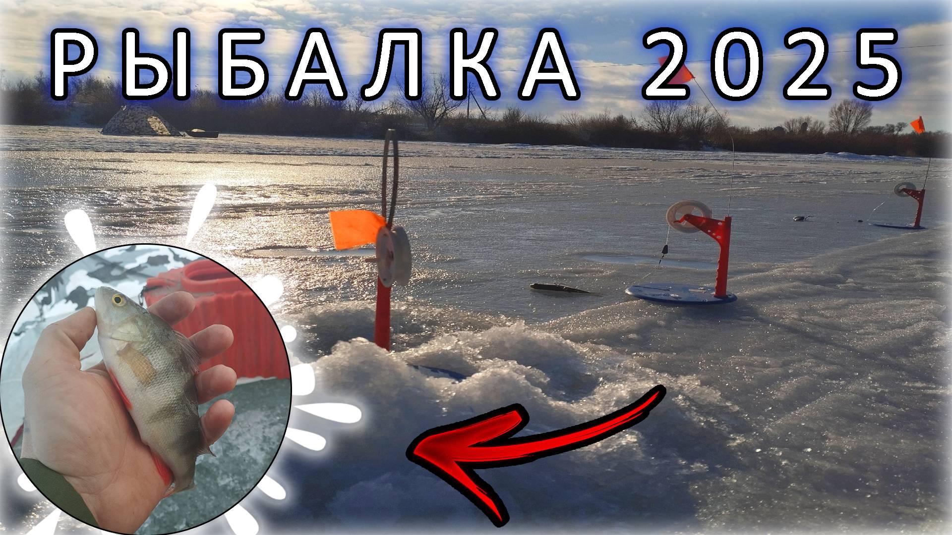 РЫБАЛКА 2025 ЛОВЛЯ ЖИВЦА