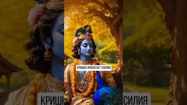 Кришна-единственная причина счастья!


Подписывайтесь, поддержите проект