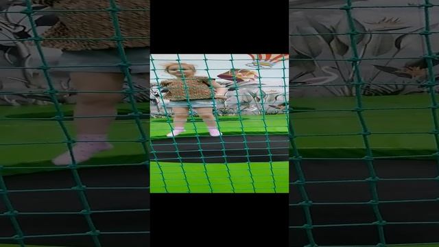 VID_20241214_125221.mp4