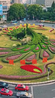 Пара скульптур из живых растений в форме павлинов на кольцевой развязке в китайском городе Нанкин