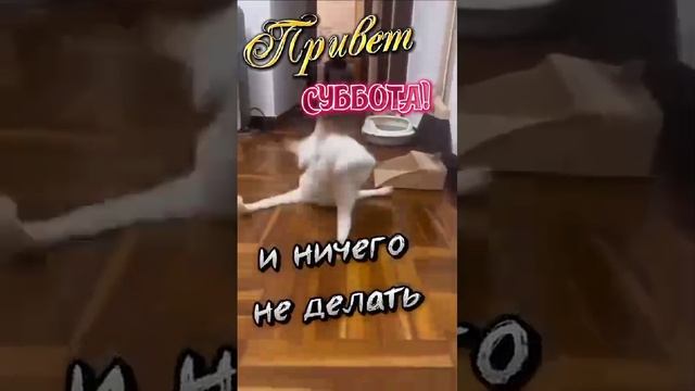 С субботой!