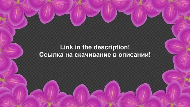 Рамка с орхидеями на зеленом и прозрачном фоне БЕСПЛАТНО_ цветочные футажи скача