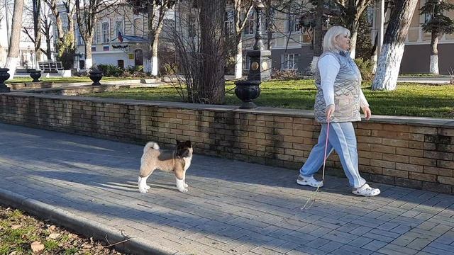 ПРАЙД ФАВОРИТЕ ПОЛЛА🌟🏆