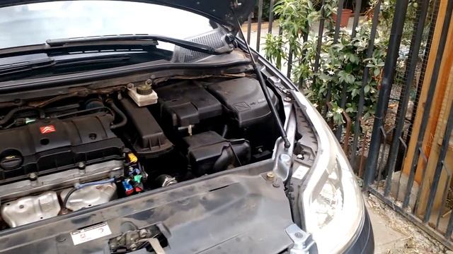 Capot con amortiguador Citroen C4