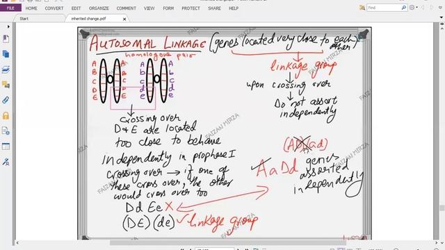 Inherited Change part 8 Autosomal Linkage