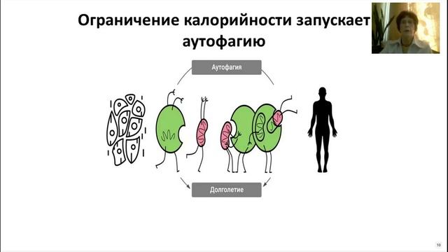 Конференция. Старение отменяется