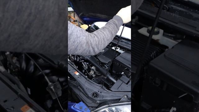 автосервис Веста Берлин