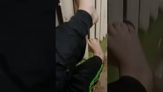 сущим ноги