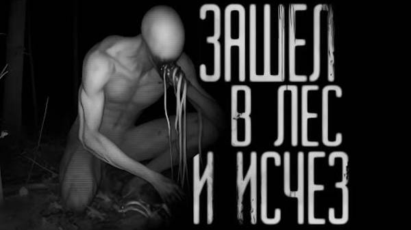 ЗАШЕЛ В ЛЕС И ИСЧЕЗ... Страшные истории на ночь. Страшилки на ночь.