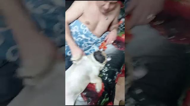 WhatsApp Video 2025-01-11 at 11.57.07