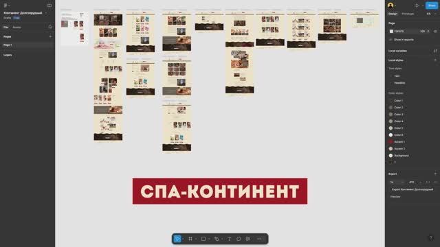 Завершение проекта СПА-Континент