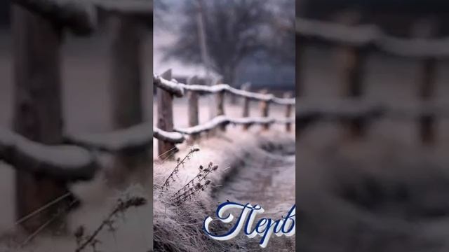Чëрная Гитара - Первое завтра #подгитару#дворовые #авторские #рок #армейские