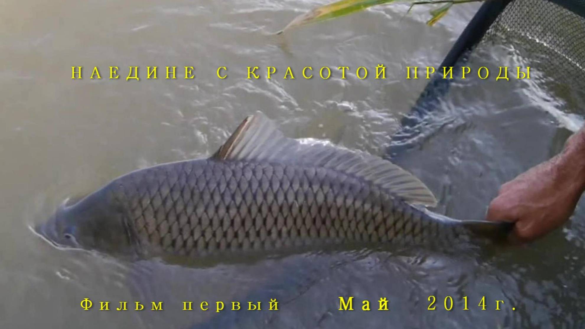 Первая рыбалка в мае