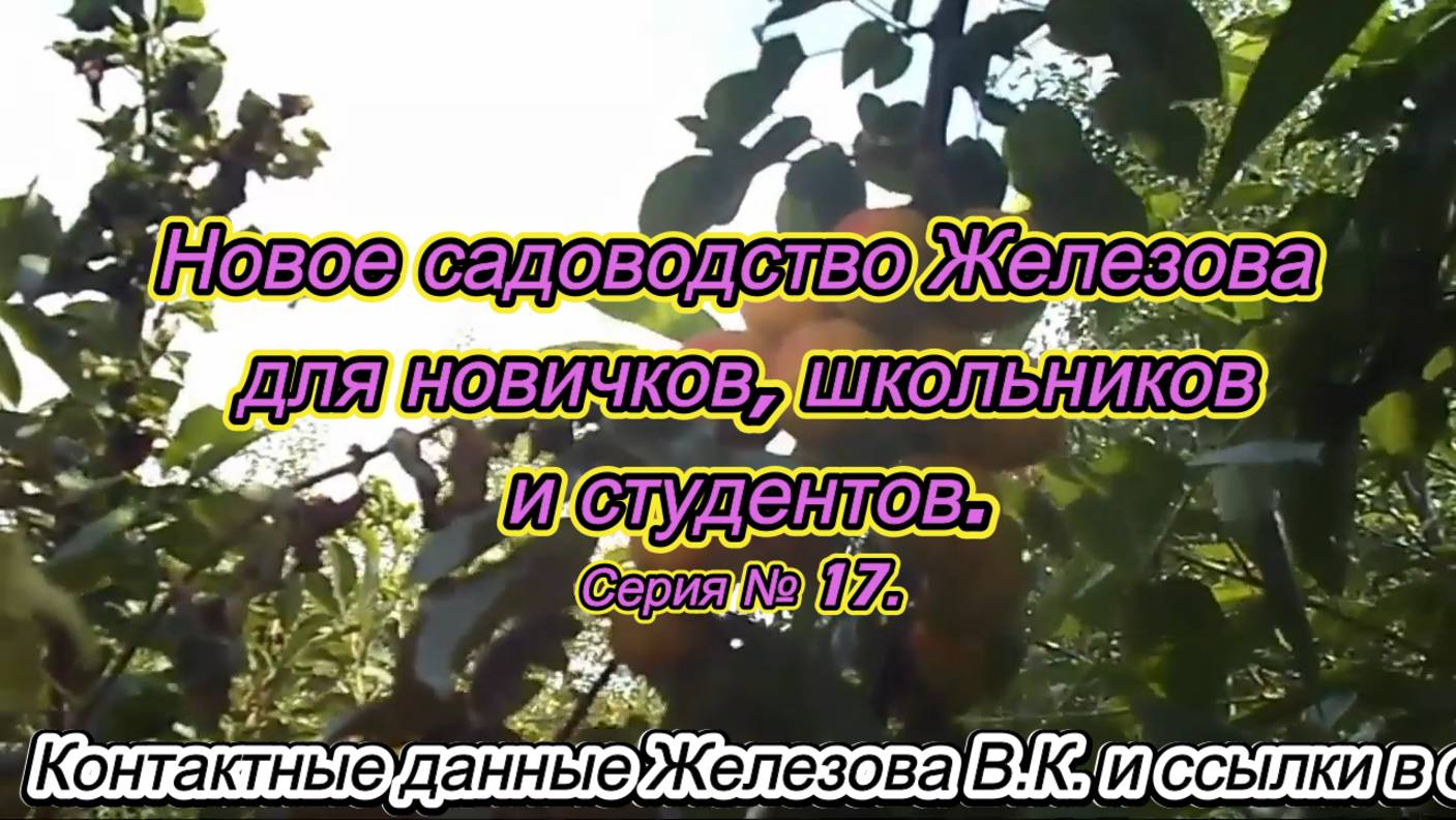 Новое садоводство Железова для новичков, школьников и студентов. Серия № 17.