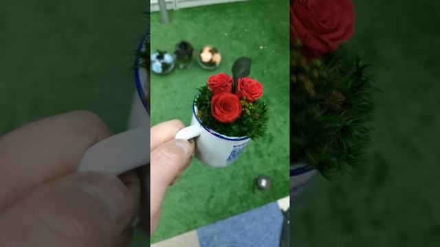 Изготовление композиций из живых-стабилизированных цветов, растений, мха. Делаем розы в колбе.