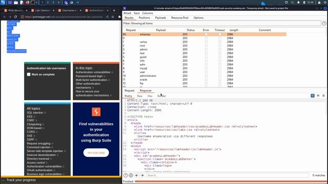 02. Lab 1 - Username enumeration via different responses