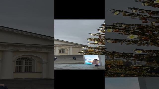 🎄Новогодняя ёлка возле ЦЕНТРАЛЬНОГО ВЫСТАВОЧНОГО ЗАЛА в Москве !!!