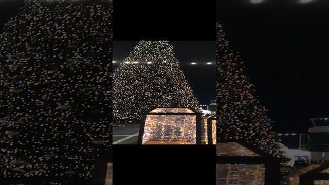 VID_20250109_184806.mp4