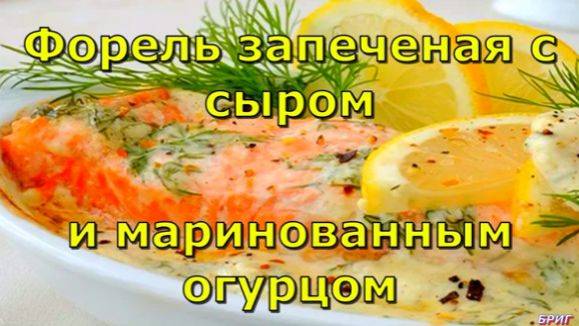 Форель запеченая с сыром и маринованным огурцом