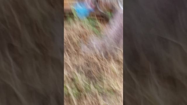1000023327.mp4