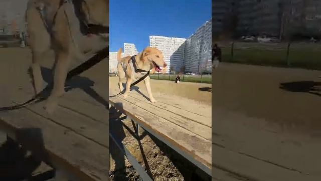 1000506688.mp4