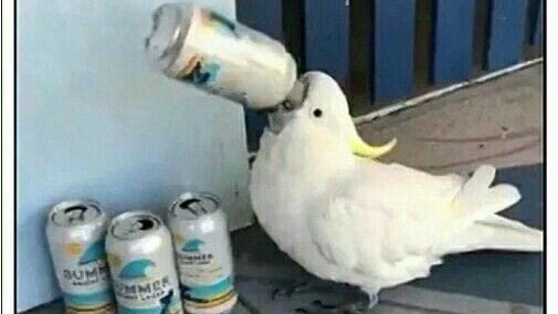 не знаю