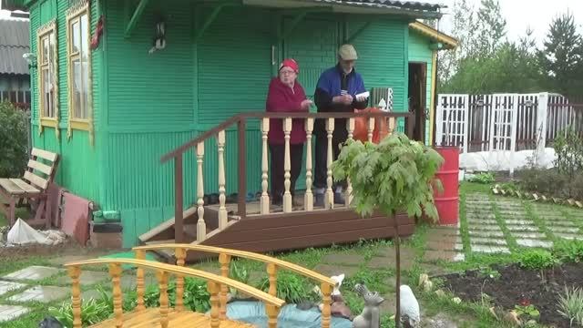 6 соток 29 мая 2020 год. Цветы однолетники. Сажай в грязь - будешь князь