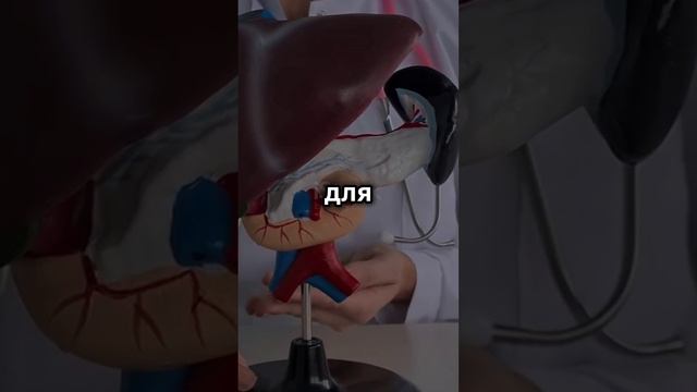 Лецитин Полезные свойства и источники