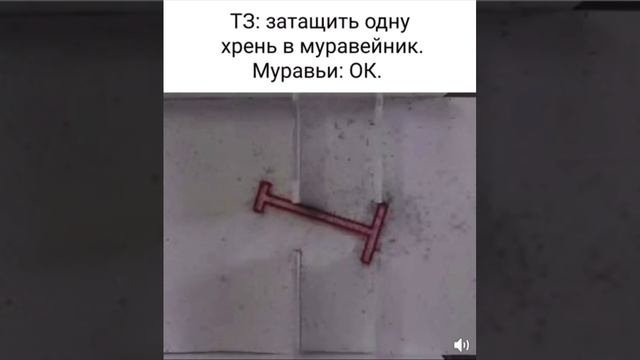 как они управляются? кто там старший?