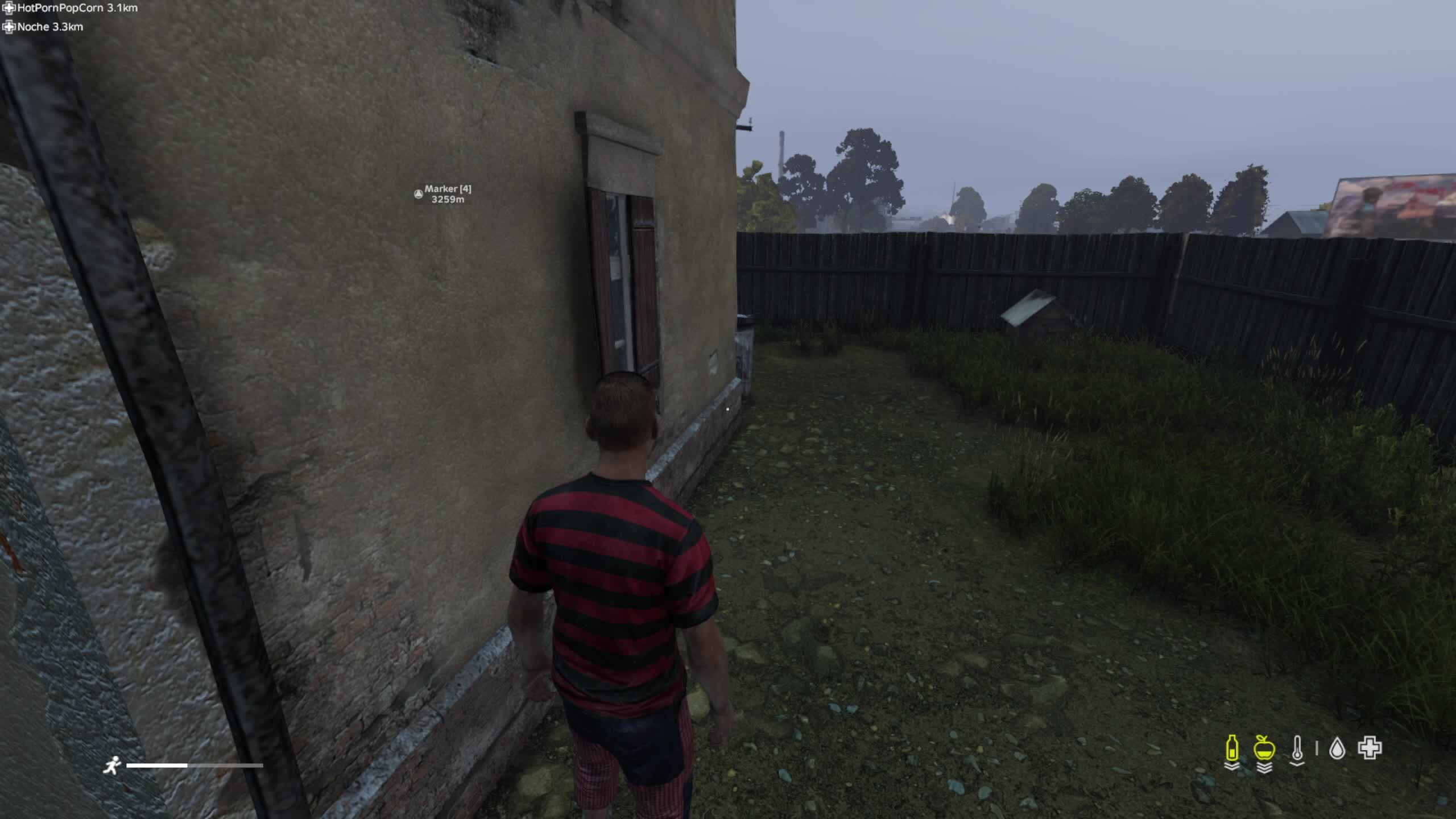 dayz