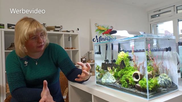 Aquarium Vorstellung Green Africa