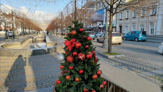 Тепло как весной. Новороссийск в начале января