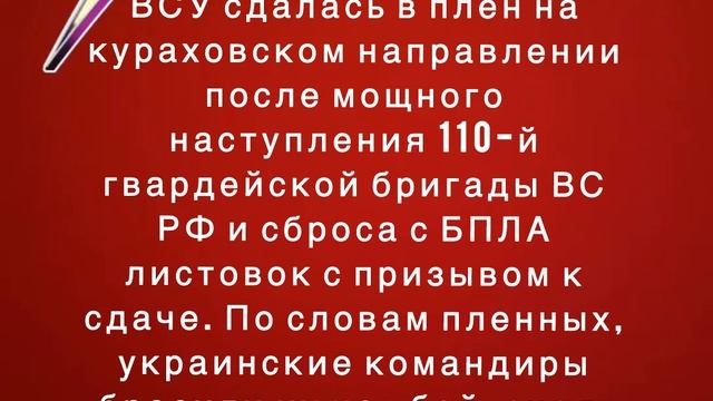 Группа из 16 военных ВСУ сдалась в плен на кураховском направлении