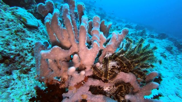 Maldives Kandooma Vilivaru Giri 4K