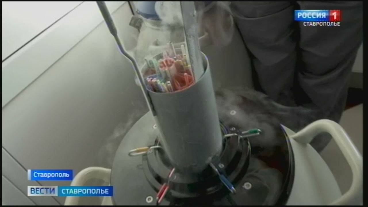 На Ставрополье за год провели больше полутора тысяч процедур ЭКО