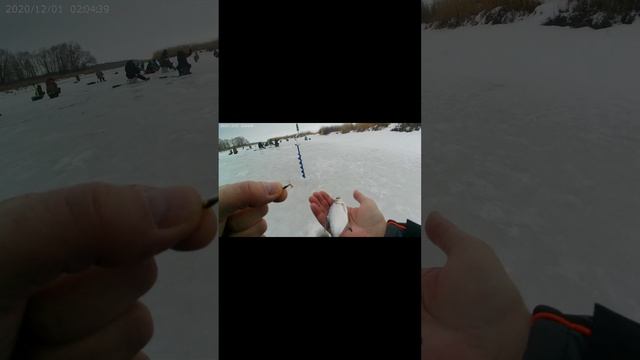Эта приманка помогает в глухозимье.