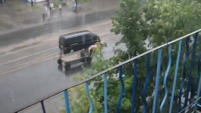 Дед на Bugatti Veyron