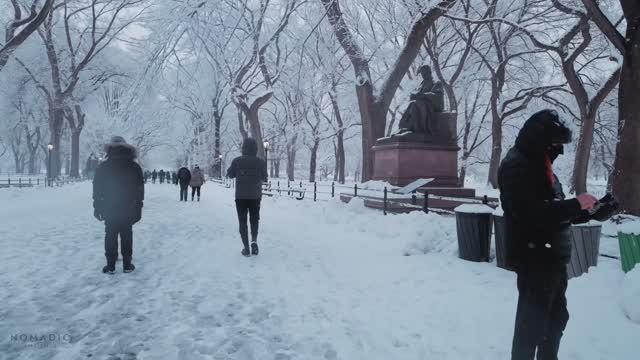 Снегопад в Центральном парке, Нью-Йорк | Прогулка по Центральному парку в зимний снег. 4K.