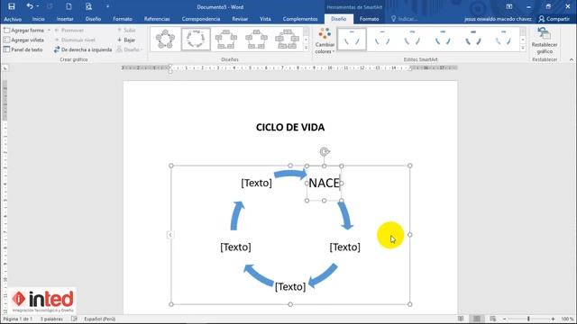 SmartArt en Word | INTEDSAC