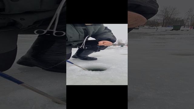 Поимки