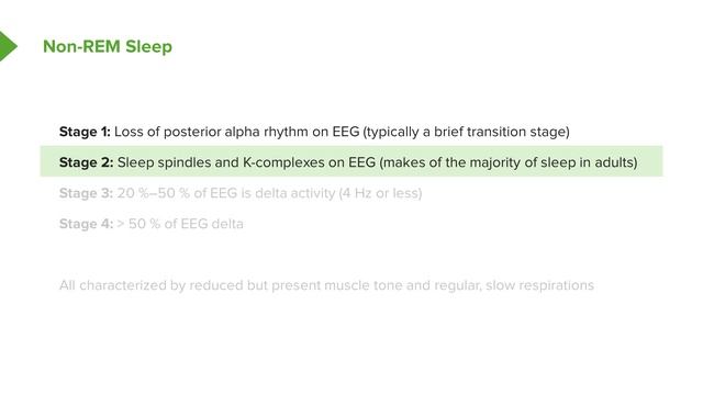 01. Sleep Stages