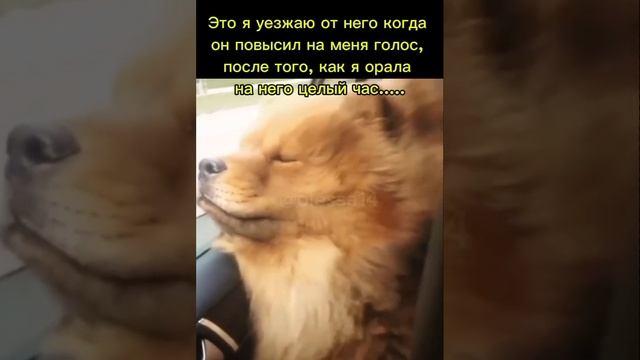 Прощай, мы расстаёмся навсегда!