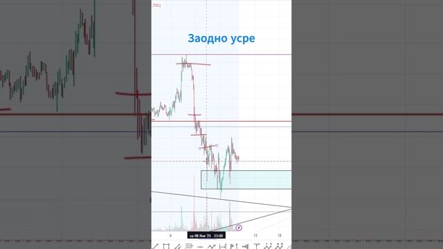 ПОЧЕМУ ТОРГУЮ БОТАМИ #VELES