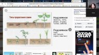 Виды прорастания семян из подготовки к ЕГЭ