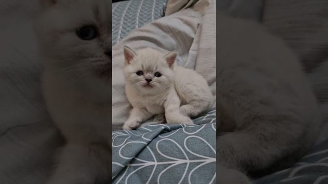 1000092083.mp4
