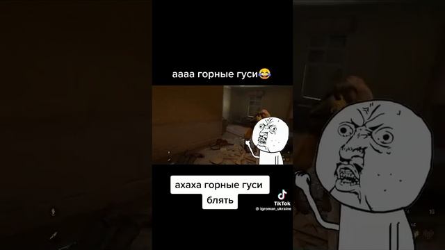 ааааа горные гуси 🤣🤣🤣🤣