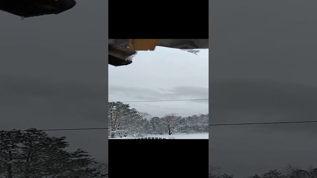 11 января 2025 г. Наблюдение для рисования.