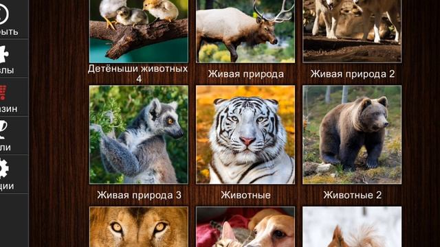 Jigsaw Puzzle Epic 139 Серия Игра 2025